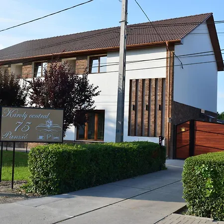 Airport Karoly Guest house