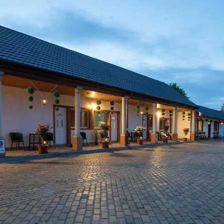 Airport Karoly * Vecsés