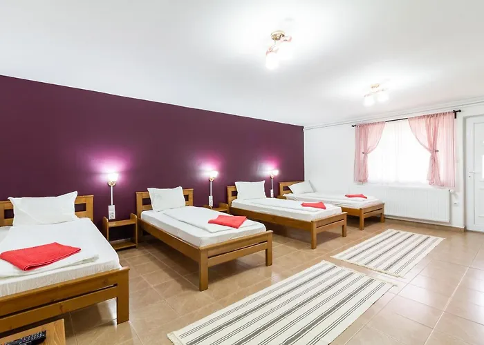 Airport Karoly וסס