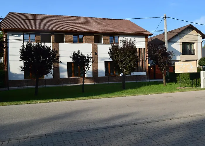 Airport Karoly וסס