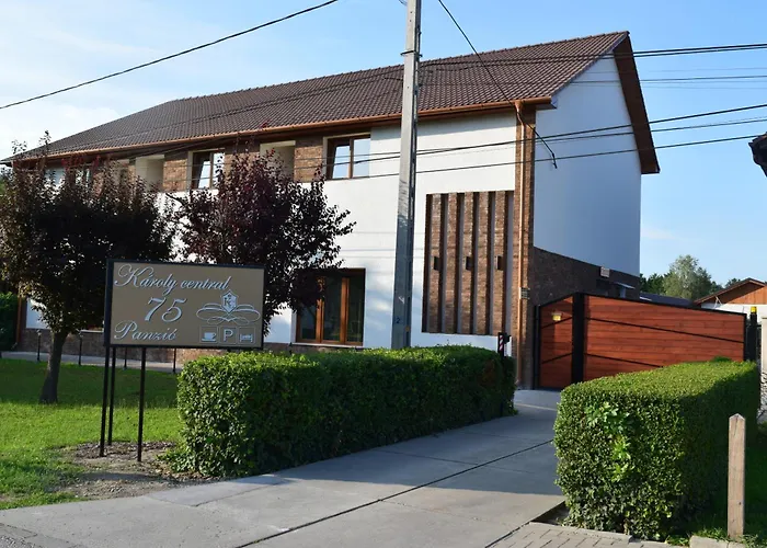 Airport Karoly בית הארחה