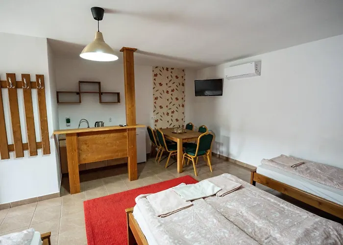 Airport Karoly בית הארחה וסס