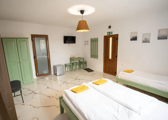 Airport Karoly וסס