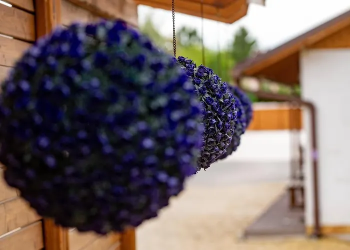 Airport Karoly בית הארחה