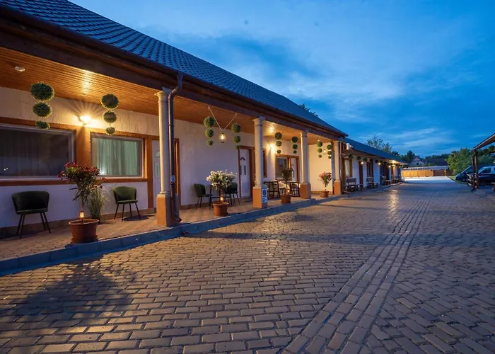 Airport Karoly וסס