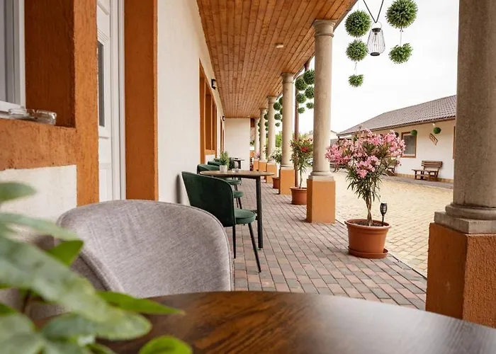 Airport Karoly בית הארחה וסס